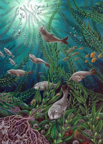 第3回「鉄鋼スラグ製品と海と森」アートコンテスト 第3回「鉄鋼スラグ製品と海と森」アートコンテスト
