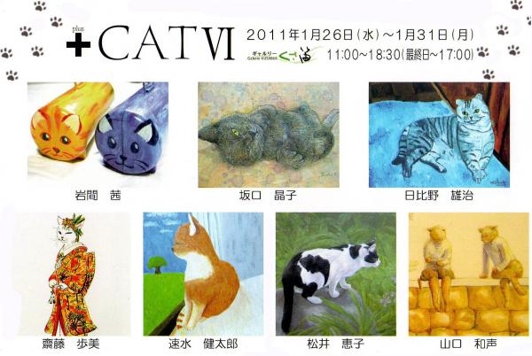 +CATⅥ +CATⅥ