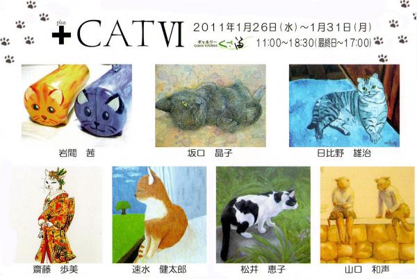 +CATⅥ