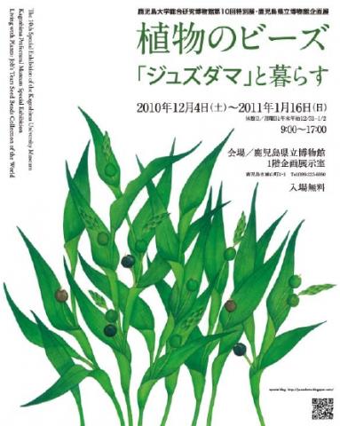 植物のビーズ「ジュズダマ」と暮らす