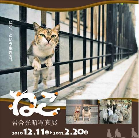 「ねこ」岩合光昭写真展 「ねこ」岩合光昭写真展