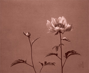 「芸術写真の精華」　日本のピクトリアリズム　珠玉の名品展　