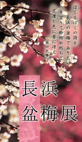 長浜盆梅展 長浜盆梅展