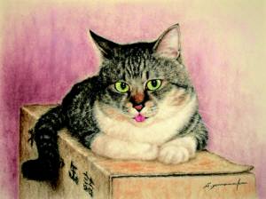 第6回 猫の展覧会 第6回 猫の展覧会