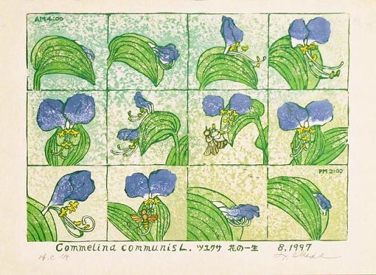 池田利夫の植物図鑑 池田利夫の植物図鑑