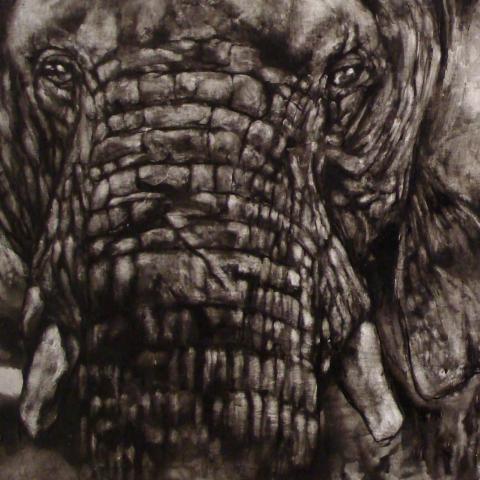 佐藤周作 個展 「一熟」 佐藤周作 個展 「一熟」