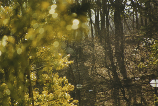 photographers’ gallery企画 野村佐紀子写真展 photographers’ gallery企画 野村佐紀子写真展