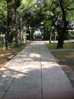 7/17(日)赤坂てづくり市「青空個展」開催! 7/17(日)赤坂てづくり市「青空個展」開催!