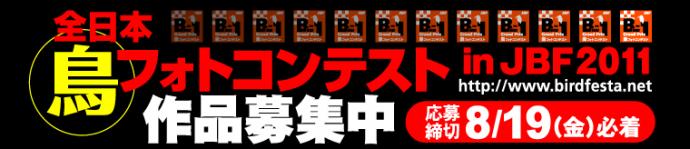 JBF全日本鳥フォトコンテスト2011 JBF全日本鳥フォトコンテスト2011