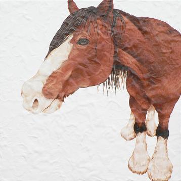 沼田月光 個展~草食系~ 沼田月光 個展~草食系~