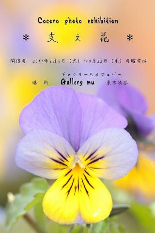 【Cocoro photo exhibition】＊支え花＊