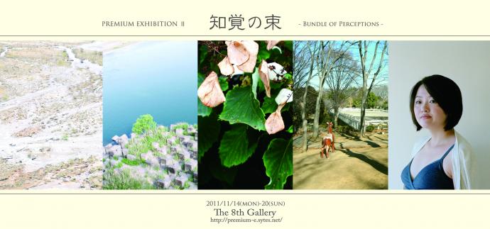 PREMIUM EXHIBITION　Ⅱ　知覚の束