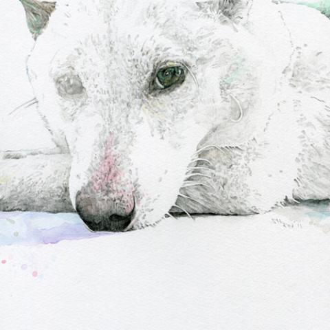 2012年新春第一弾1月企画展「わんこ展」出展者募集 2012年新春第一弾1月企画展「わんこ展」出展者募集