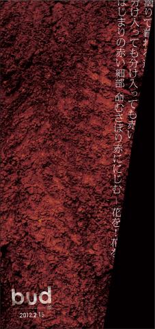 『bud』-蕾 『bud』-蕾