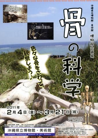 博物館企画展 「骨の科学」 博物館企画展 「骨の科学」