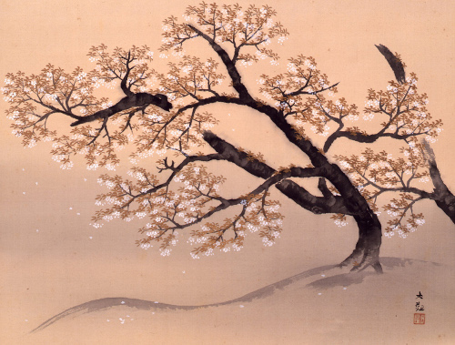 【特別展】 桜・さくら・SAKURA 2012 ―美術館でお花見!― 【特別展】 桜・さくら・SAKURA 2012 ―美術館でお花見!―