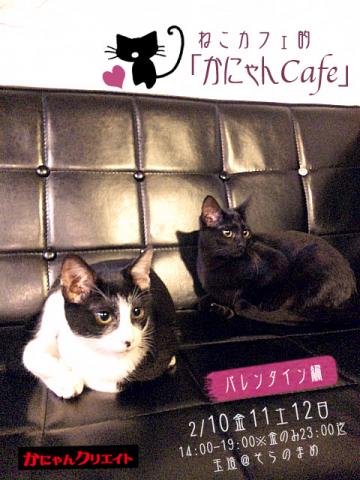 ねこカフェ的「かにゃんCafe」バレンタイン編