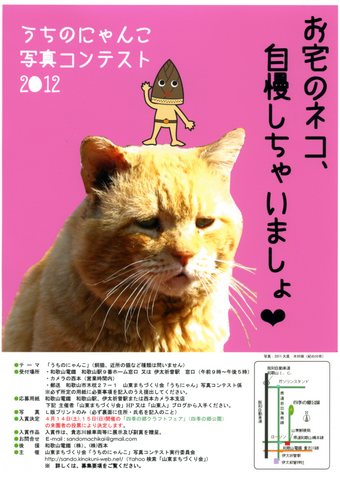 うちのにゃんこ写真コンテスト うちのにゃんこ写真コンテスト