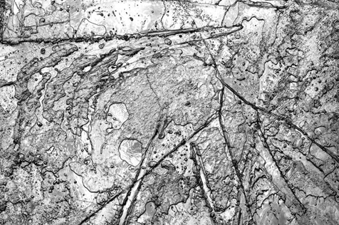 谷田梗歌 展 -ICE Shadow- /写真 谷田梗歌 展 -ICE Shadow- /写真