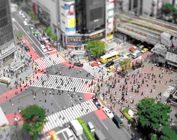 本城直季写真展「diorama」 本城直季写真展「diorama」