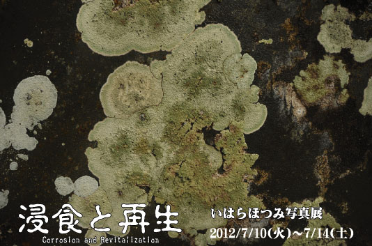 いはらほつみ写真展「浸食と再生」 いはらほつみ写真展「浸食と再生」