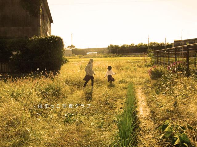 第4回写真展はまっこ写真クラブ「ACTION」 第4回写真展はまっこ写真クラブ「ACTION」