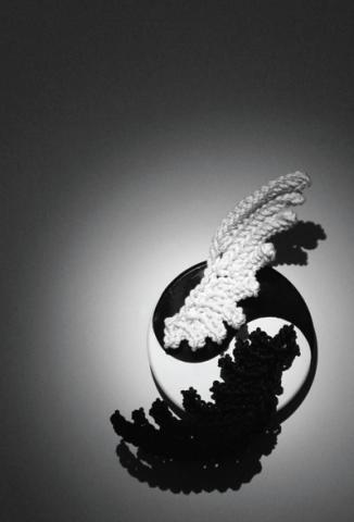 雅yuki yoshida 展 編羽両義 雅yuki yoshida 展 編羽両義