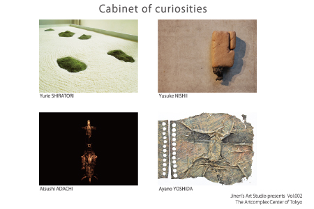 Cabinet of curiosities Cabinet of curiosities