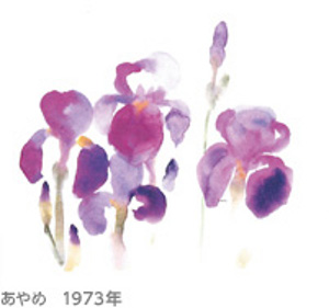 ちひろ・和の心 ちひろ・和の心