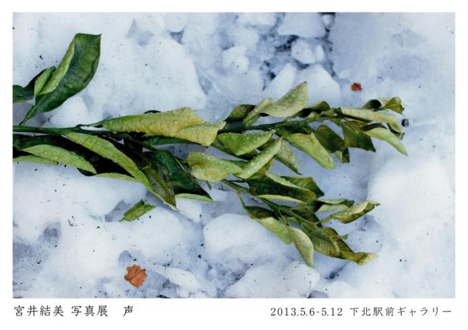宮井結美写真展 声 宮井結美写真展 声