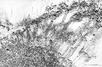 谷田梗歌 展 -ICE Shadow- vol.3 /写真 谷田梗歌 展 -ICE Shadow- vol.3 /写真