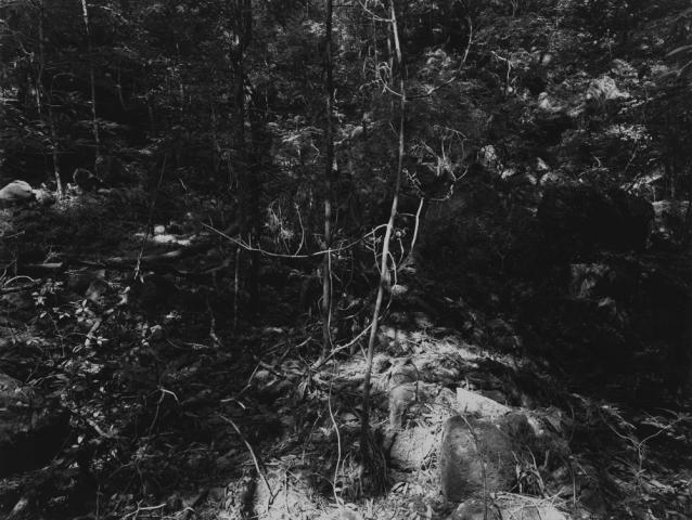 photographers’ gallery企画 山本渉写真展「線を引く」 photographers’ gallery企画 山本渉写真展「線を引く」