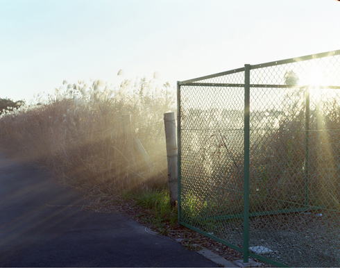 濱田祐史 作品展 Pulsar + Primal Mountain 濱田祐史 作品展 Pulsar + Primal Mountain