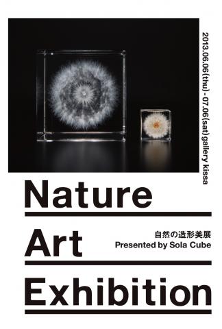 自然の造形美展 〜Nature Art Exhibition〜 Presented by Sola Cube