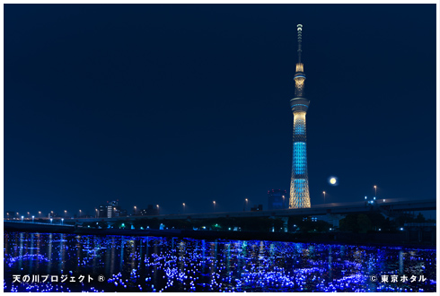 東京ホタル ひかりのシンフォニー - TOKYO HOTARU FESTIVAL 2013 東京ホタル ひかりのシンフォニー - TOKYO HOTARU FESTIVAL 2013