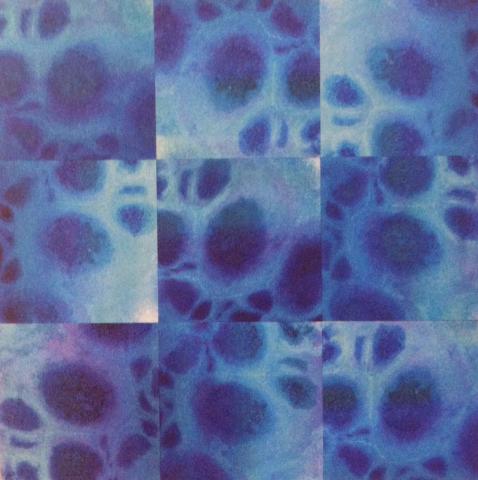 荒姿寿 個展 ー呼応するー 荒姿寿 個展 ー呼応するー