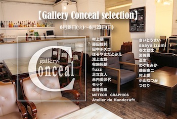 [Gallery Conceal selection]