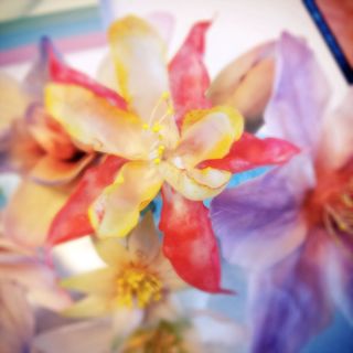 えいがのみかた#14「HOW TO 特殊造形? 花をつくってみよう!」 えいがのみかた#14「HOW TO 特殊造形? 花をつくってみよう!」