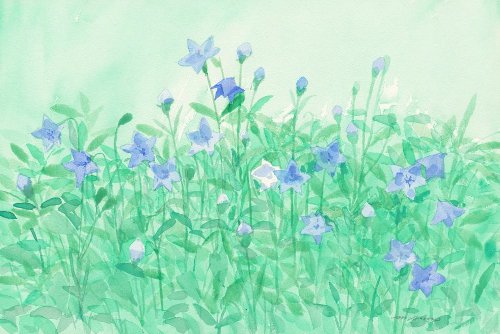 安野光雅が描いた「御所の花」展　両陛下のお庭を彩る四季の草花