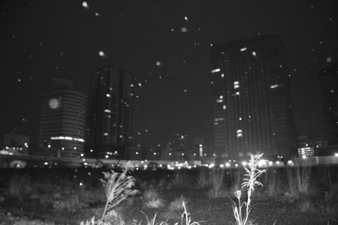 大島尚悟写真展 「O.N. Affect Memory」 大島尚悟写真展 「O.N. Affect Memory」