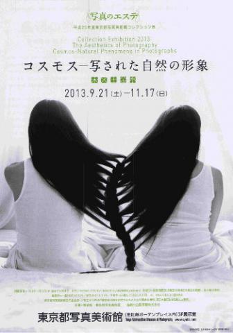 写真のエステ-コスモス 写された自然の形象 写真のエステ-コスモス 写された自然の形象