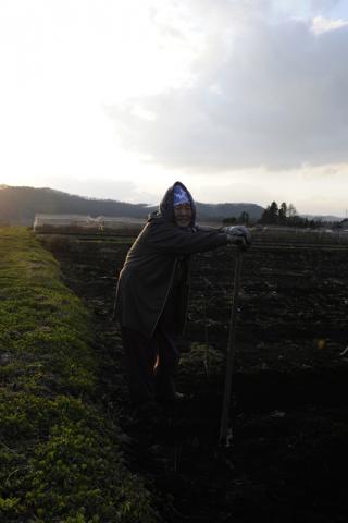 田代一倫写真展 「はまゆりの頃に 2013 年 春」 田代一倫写真展 「はまゆりの頃に 2013 年 春」