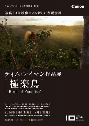 ティム・レイマン作品展『極楽鳥』~Birds of Paradise~ ティム・レイマン作品展『極楽鳥』~Birds of Paradise~