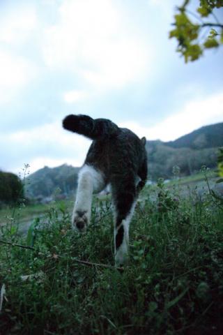 越沼玲子写真展　Spirit in Wild ～森の鼓動～