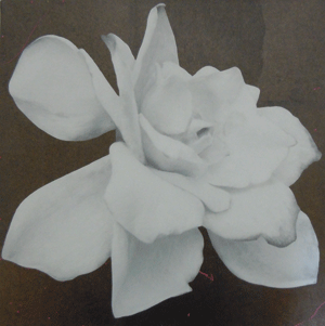 記憶 -現代美術作家5人による展覧会- 記憶 -現代美術作家5人による展覧会-