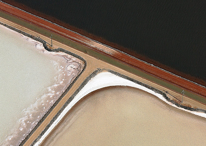 nikosono 写真展「Australian Biotope 24」 nikosono 写真展「Australian Biotope 24」