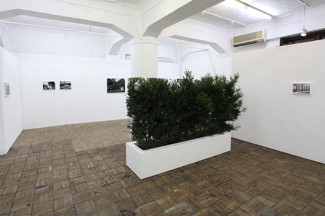 繁る森の外 夏池風冴 個展 繁る森の外 夏池風冴 個展