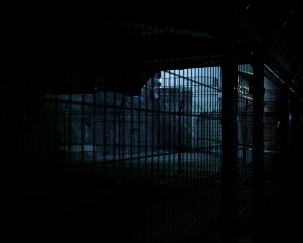 櫻井清史 写真展「檻Ⅱ」 櫻井清史 写真展「檻Ⅱ」