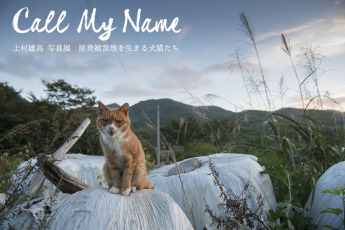 上村雄高 写真展 『Call My Name 〜原発被災地を生きる犬猫たち』