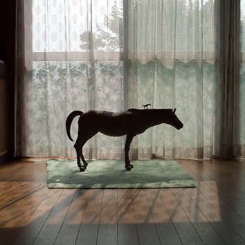 17th DOMANI・明日展 17th DOMANI・明日展